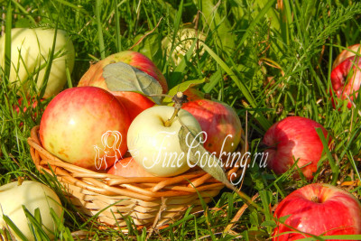 Яблочный Спас: неделя рецептов из яблок